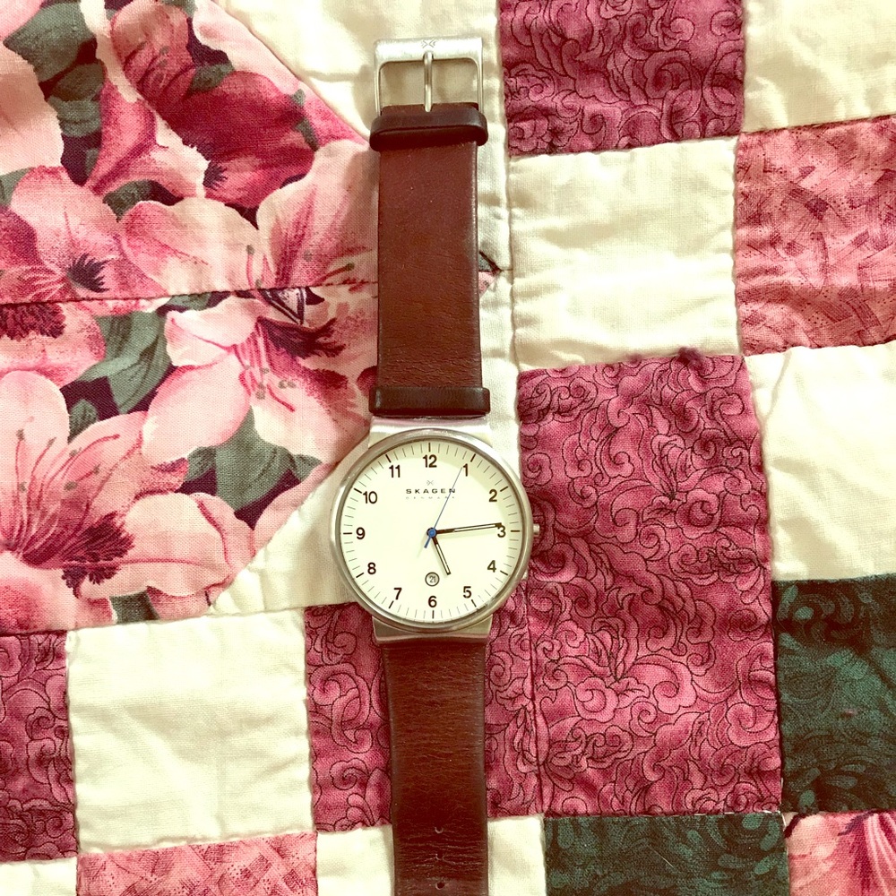 Skagen Men’s Watch